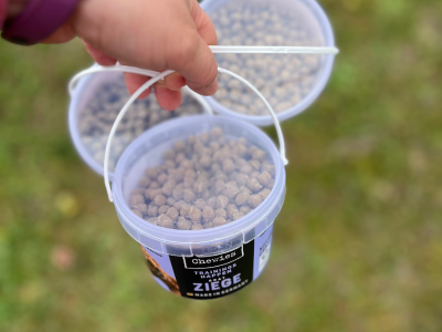 Chewies pamlsky na tréning